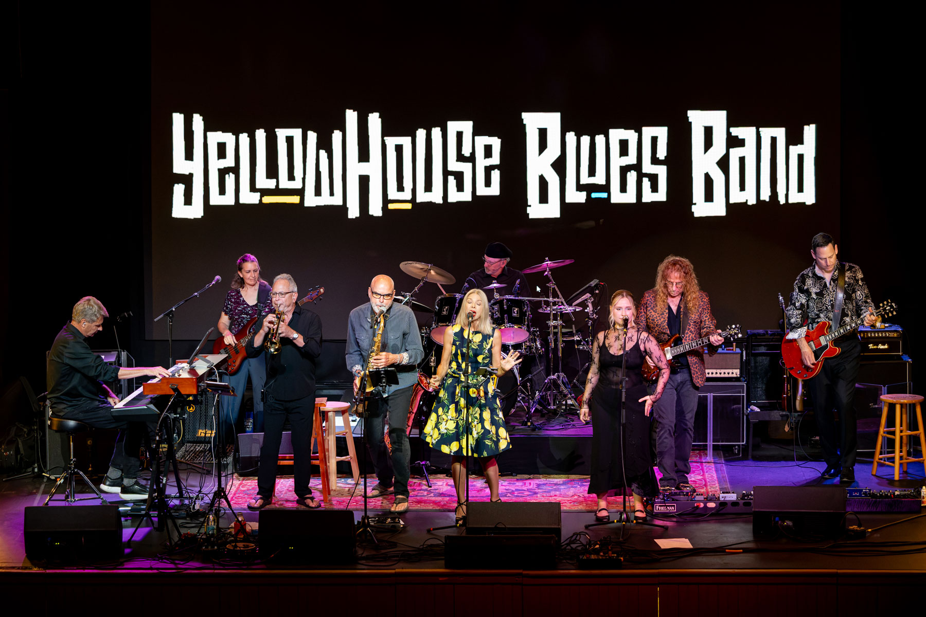 YellowHouse Blues Band performing live